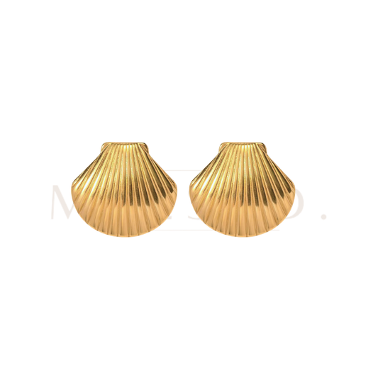 Shell Earrings