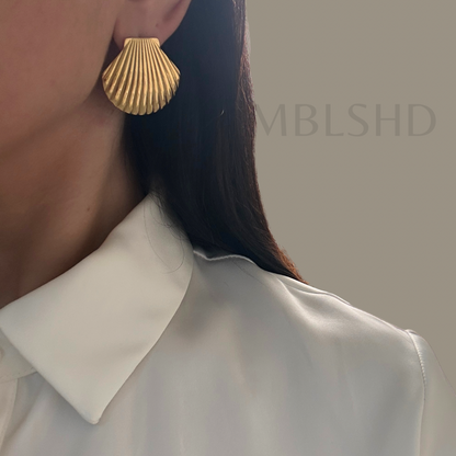 Shell Earrings