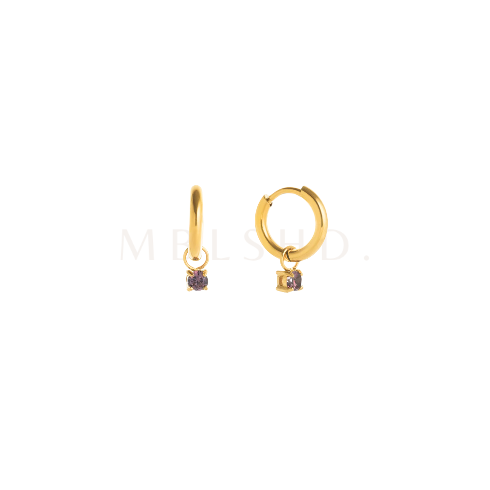 Colored Charms Dangle Earrings