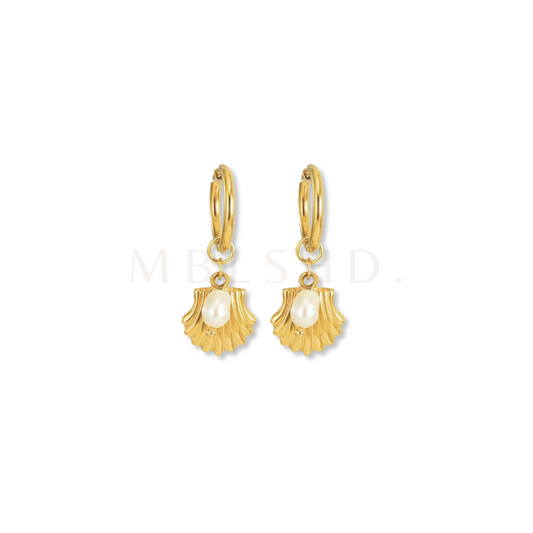 Seashell Earrings