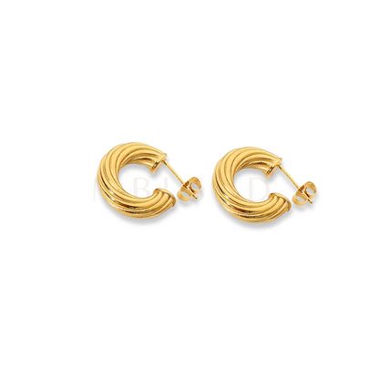 Small Twisted Earrings